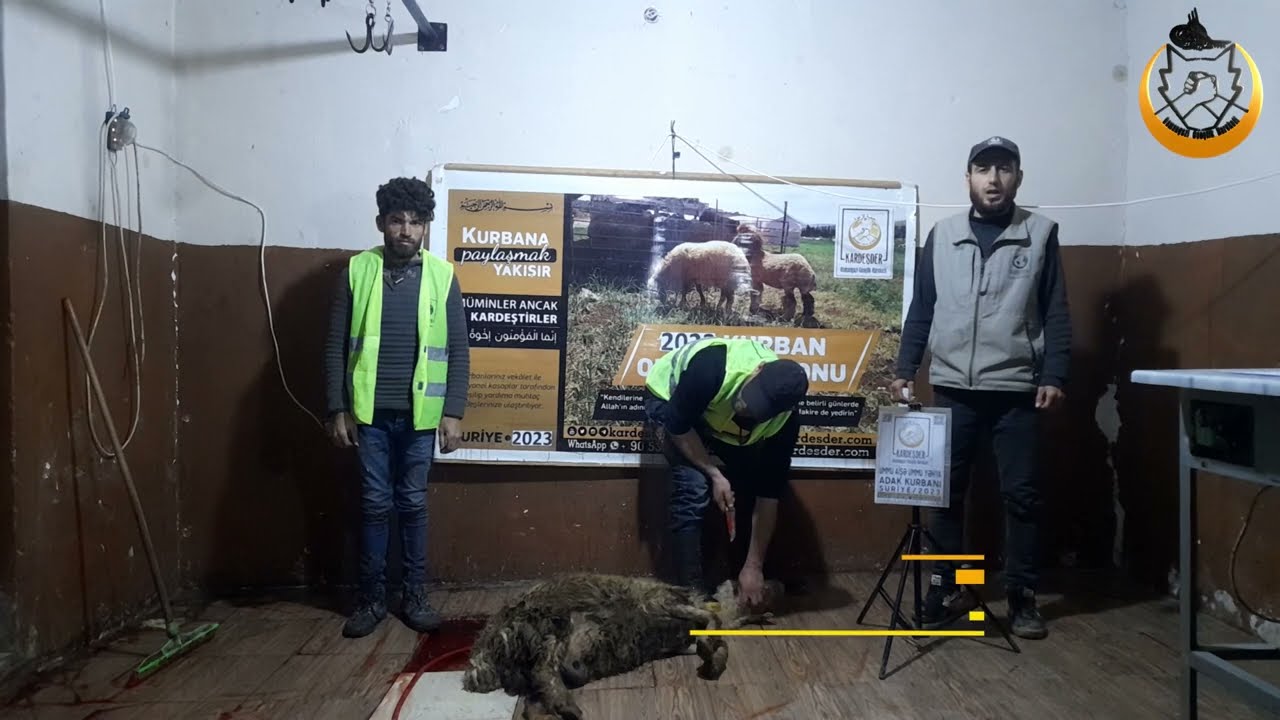 SURİYE'DE YETİM VE MAZLUMLAR KURBAN BAĞIŞLARINIZIN YOLUNU GÖZLÜYOR