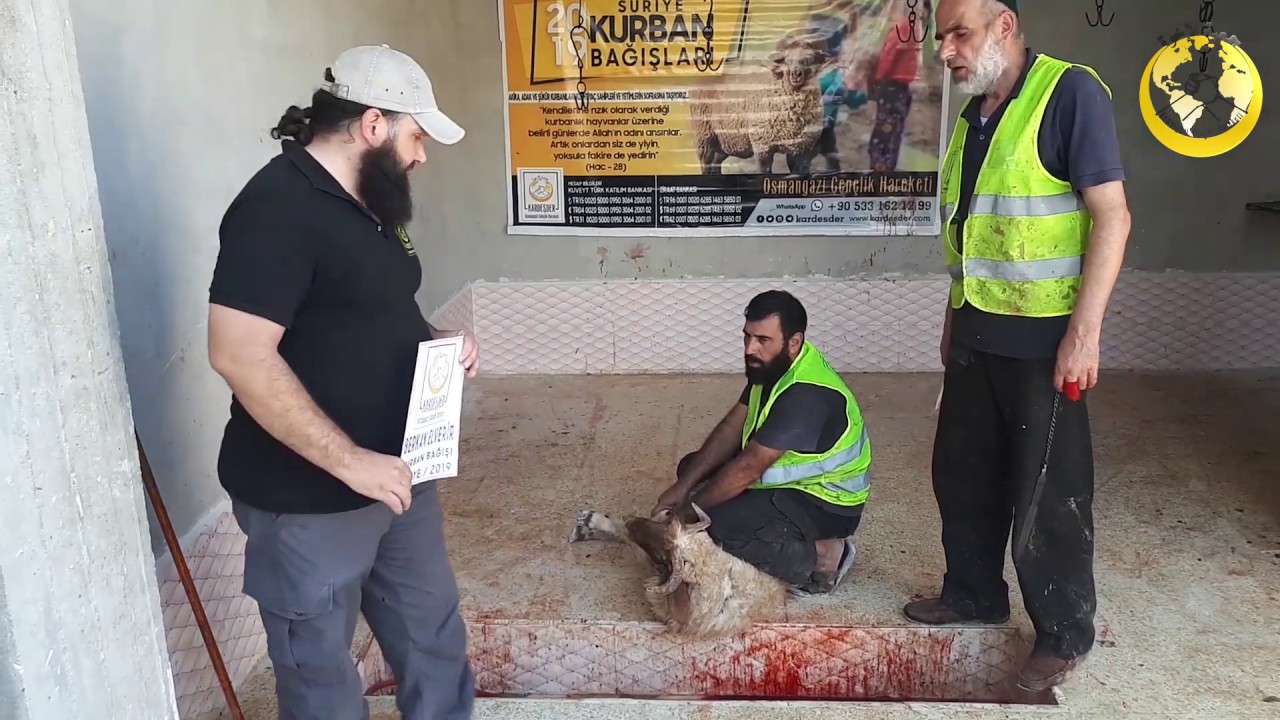 BERKAN ELVERİR : 2019 Suriye Kurban Organizasyonu