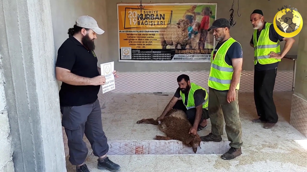 ALPASLAN TOPRAK : 2019 Suriye Kurban Organizasyonu