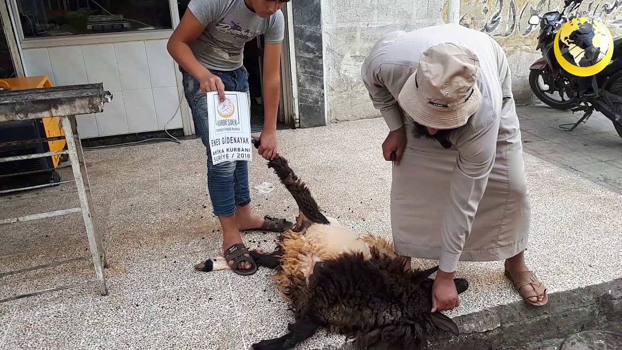 SURİYE'DE AKİKA KURBANI