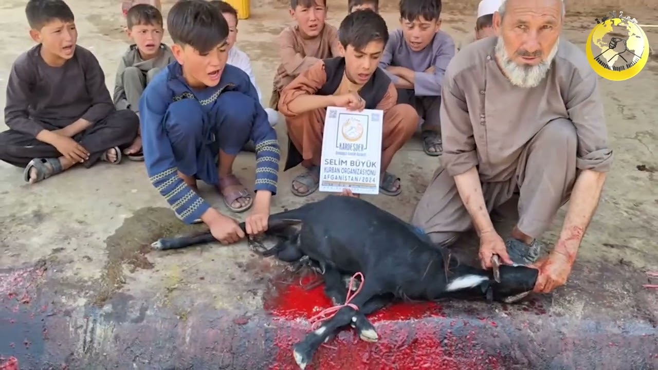 2024 AFGANİSTAN KURBAN ORGANİZASYONU: SELİM BÜYÜK