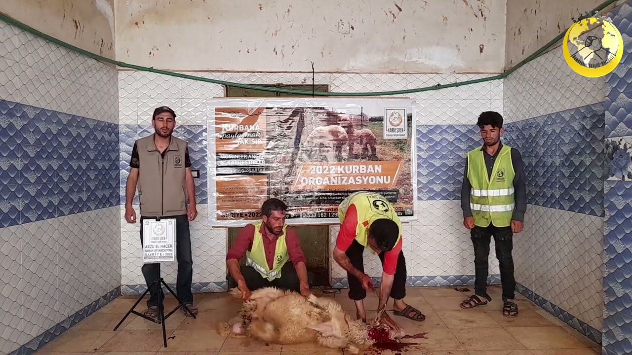 SURİYE'DEKİ KARDEŞLERİNE BİR KURBAN DA SEN BAĞIŞLA