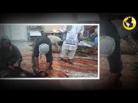 SEN DE AFGANİSTAN'DAKİ KARDEŞLERİNE BİR KURBAN GÖNDER