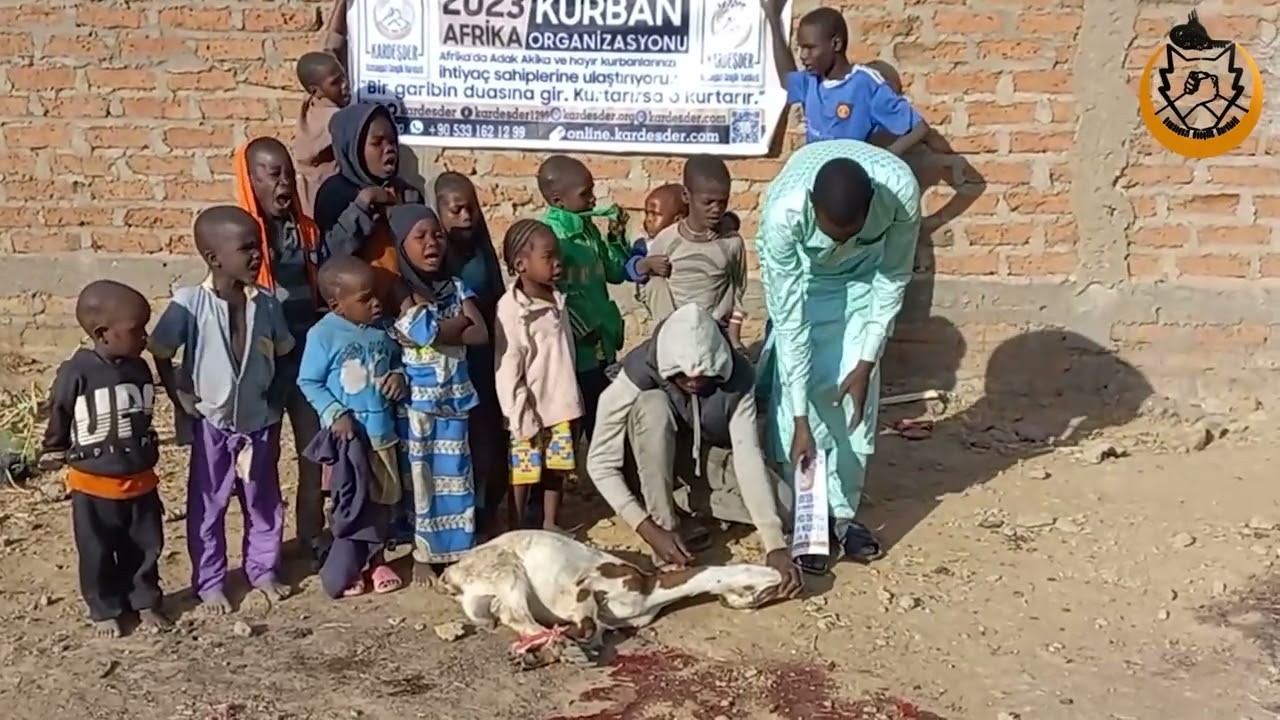 AFRİKA'DA KURBAN, MUTLULUK DEMEK