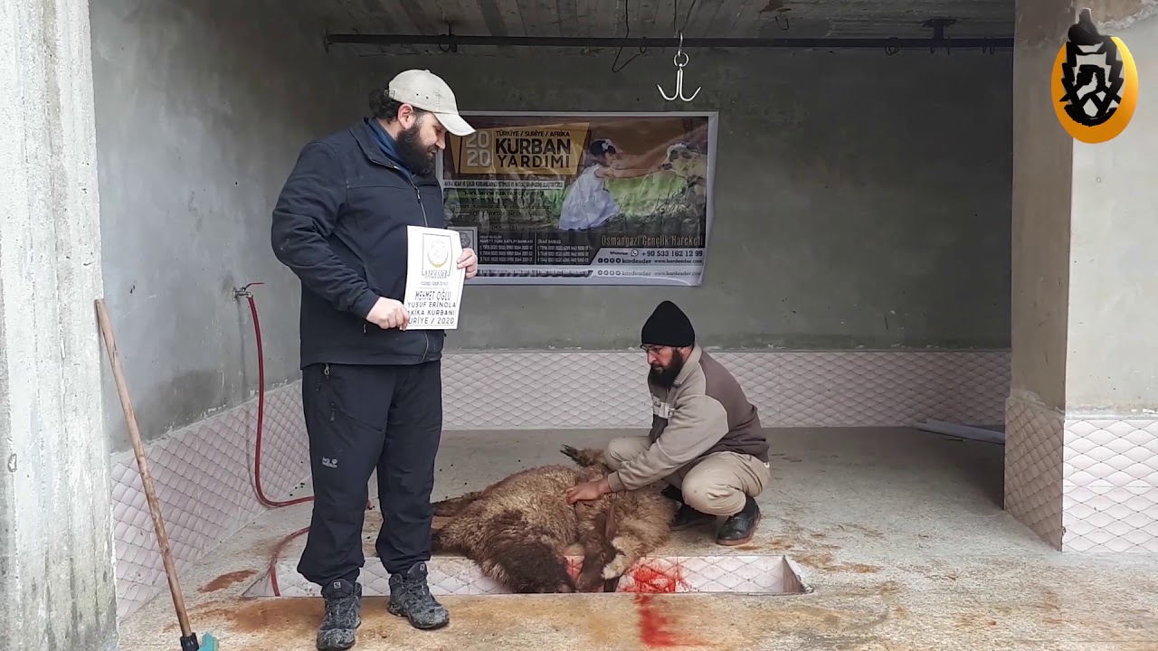 HAYIR KURBANLARINIZ YETİM VE ÖKSÜZLERE UMUT OLDU