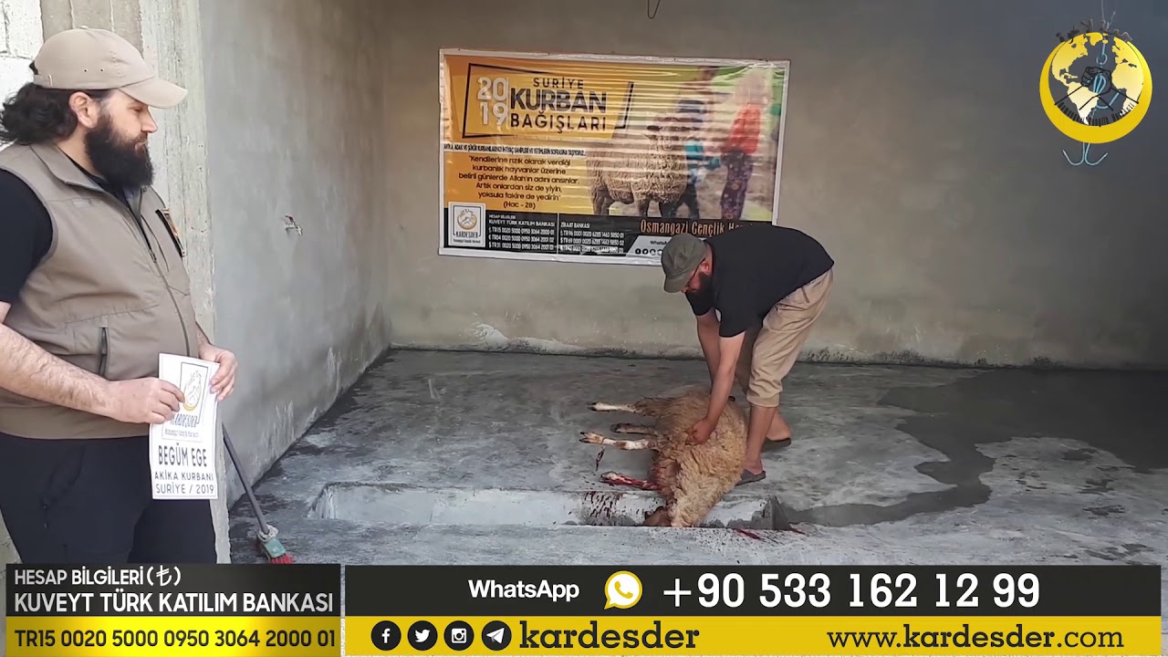 İDLİB AKİKA KURBANI BAĞIŞI