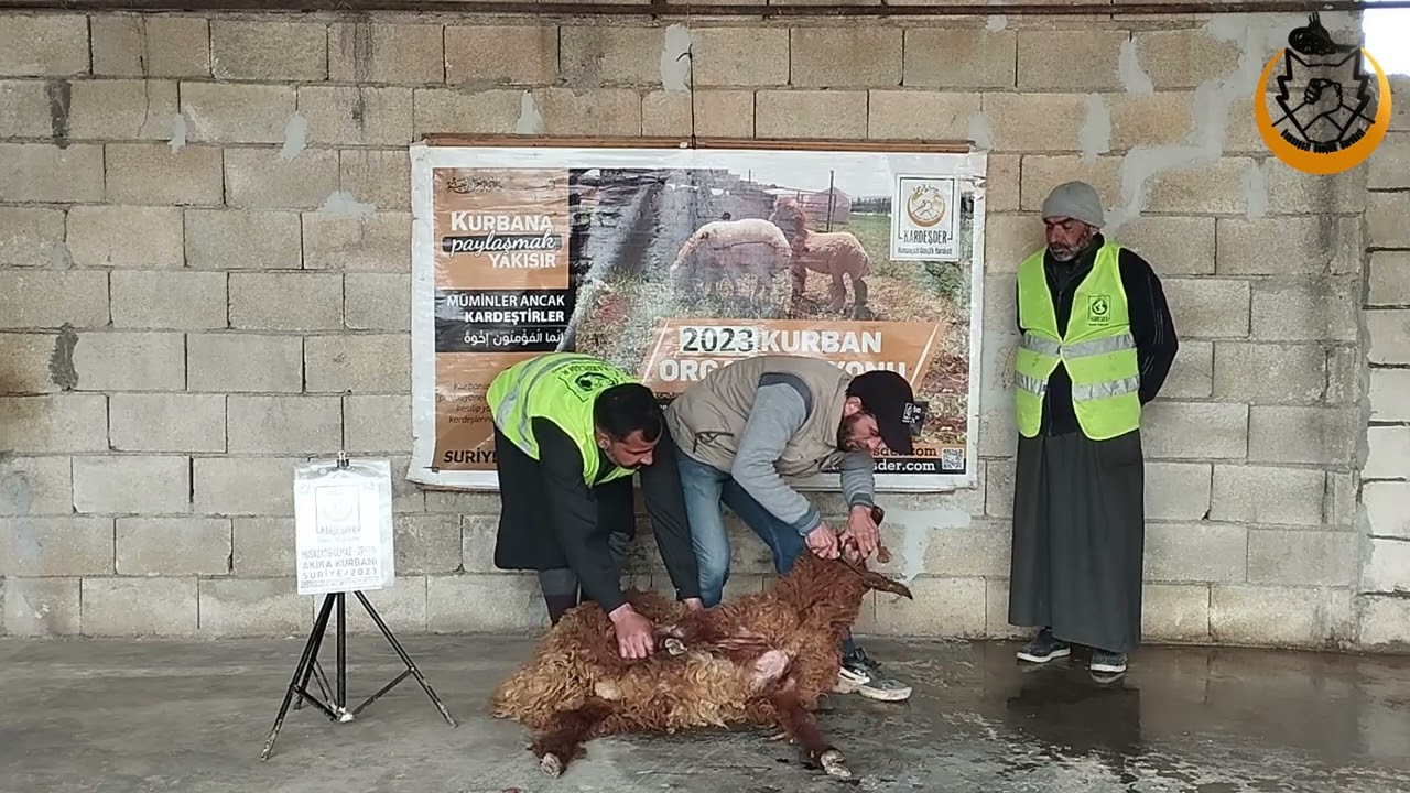 KURBANLARINIZI SURİYE'DEKİ İHTİYAÇ SAHİBİ KARDEŞLERİMİZE ULAŞTIRIYORUZ