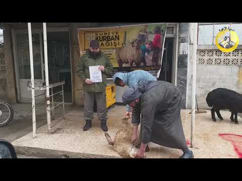 İDLİB AKİKA KURBANI: ECRİN MELİHA YILDIRIM