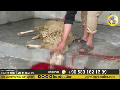 AKİKA KURBANI İLE KAZAKİSTAN'DAN AŞEVİMİZE DESTEK