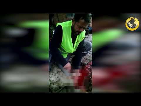 Hayır kurbanlarınız Türkiye'de de yetim ailelerini sevindiriyor