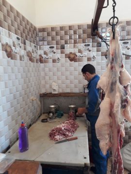 Yetimlere Akika kurbanı bağışı 03