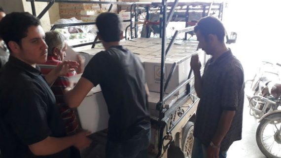 İdlip Gıda Kolisi Yardımı 08