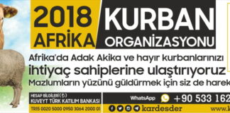 Doların düşmesi ile Afrika Kurban fiyatlarımız güncellendi 400₺ 01