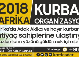 Doların düşmesi ile Afrika Kurban fiyatlarımız güncellendi 400₺ 01