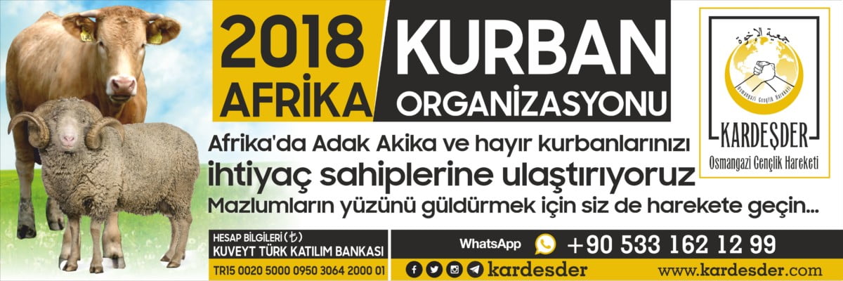 Doların düşmesi ile Afrika Kurban fiyatlarımız güncellendi 400₺ 01