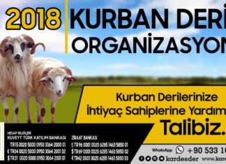 Kurban Derisi Saklama Yöntemleri 01
