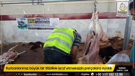resim şablon