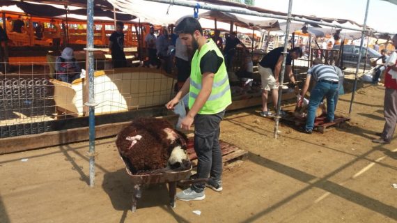 Kardeşder Allah yolundaki çabaları için kardeşlerine teşekkür ediyor 06