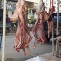 Kurban bağışlarınız mazlumların yüzleri gülsün 14