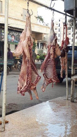 Kurban bağışlarınız mazlumların yüzleri gülsün 14