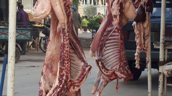 Kurban bağışlarınız mazlumların yüzleri gülsün 14