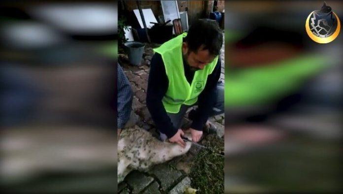 Hayır kurbanlarınız Türkiyede de yetim ailelerini sevindiriyor 01 Hayır kurbanlarınız Türkiyede de yetim ailelerini sevindiriyor 01