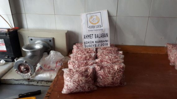 Akika kurbanlarınızla onları sevindirmek istemez misiniz 10