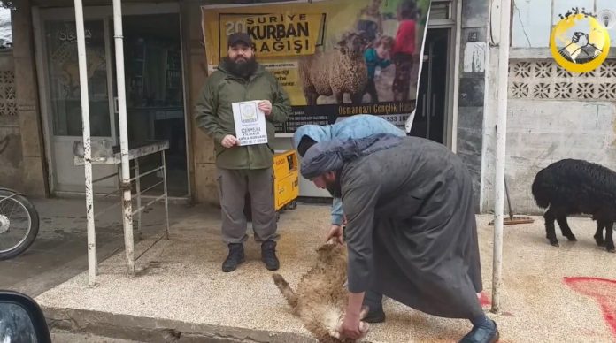 İdlib Akika Kurbanı Ecrin Meliha Yıldırım 01 İdlib Akika Kurbanı Ecrin Meliha Yıldırım 01