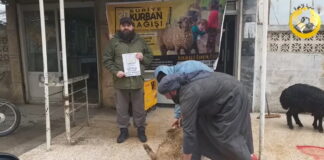 İdlib Akika Kurbanı Ecrin Meliha Yıldırım 01