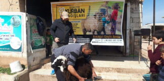 Aşevimiz için bağışlanan iki adet kurban 02