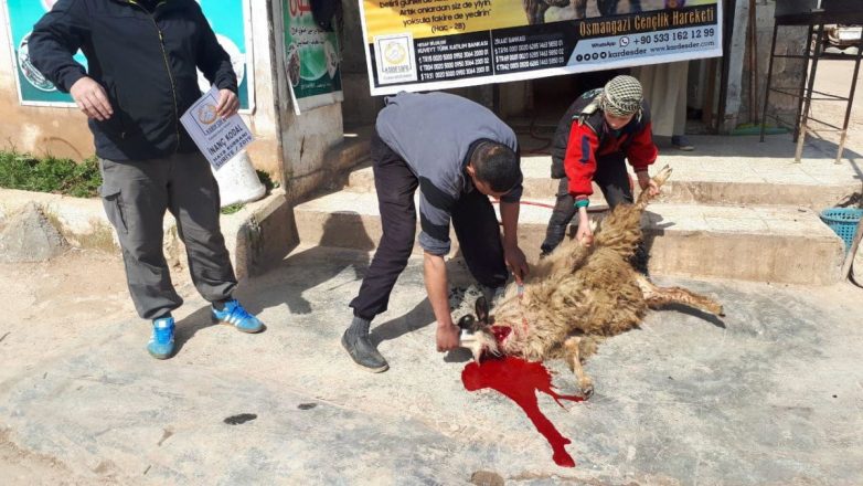 Aşevimiz için bağışlanan iki adet kurban 12