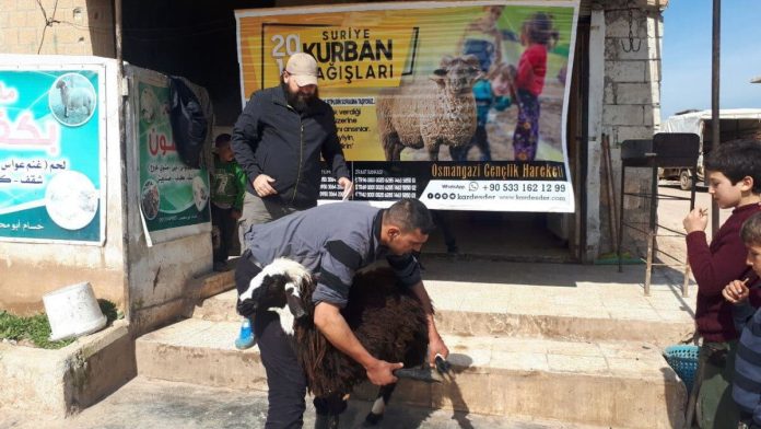 Aşevimiz için bağışlanan iki adet kurban 02 Aşevimiz için bağışlanan iki adet kurban 02