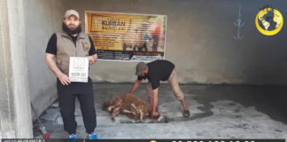 İdlib Akika kurbanı bağışı 01