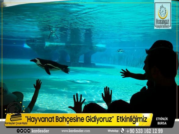 HAYVANAT BAHÇESİNE ETKİNLİĞİMİZDEN 02