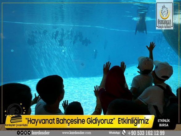 HAYVANAT BAHÇESİNE ETKİNLİĞİMİZDEN 03