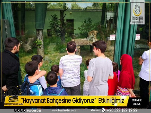 HAYVANAT BAHÇESİNE ETKİNLİĞİMİZDEN 08