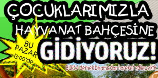 HAYVANAT BAHÇESİNE GİDİYORUZ... BU PAZAR 12 MAYIS 03