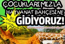 HAYVANAT BAHÇESİNE GİDİYORUZ... BU PAZAR 12 MAYIS 03