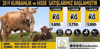 Hisseli Kurban Satışlarımız Başlamıştır 05