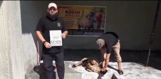 AKİKA KURBANLARINIZI YETİMLER İÇİN KESİYORUZ 01