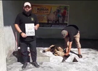 AKİKA KURBANLARINIZI YETİMLER İÇİN KESİYORUZ 01
