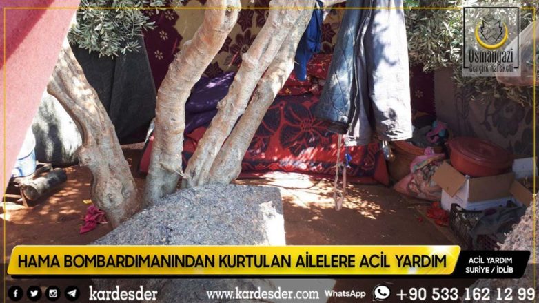 Zeytinliklerde yaşamak zorunda kalan halk yardımınıza muhtaç 09