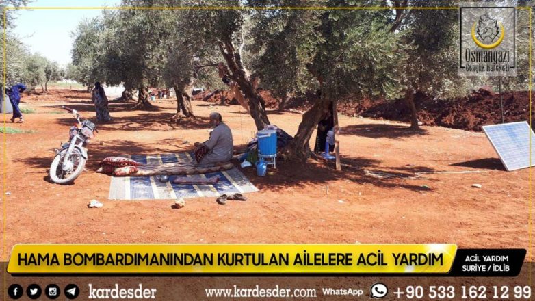 Zeytinliklerde yaşamak zorunda kalan halk yardımınıza muhtaç 12