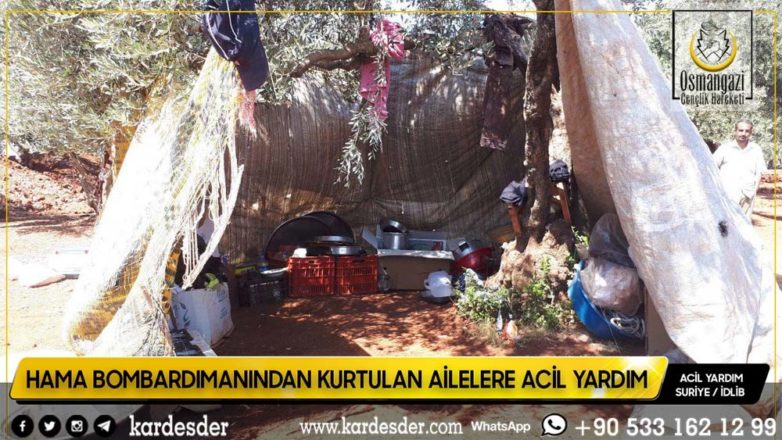 Zeytinliklerde yaşamak zorunda kalan halk yardımınıza muhtaç 17