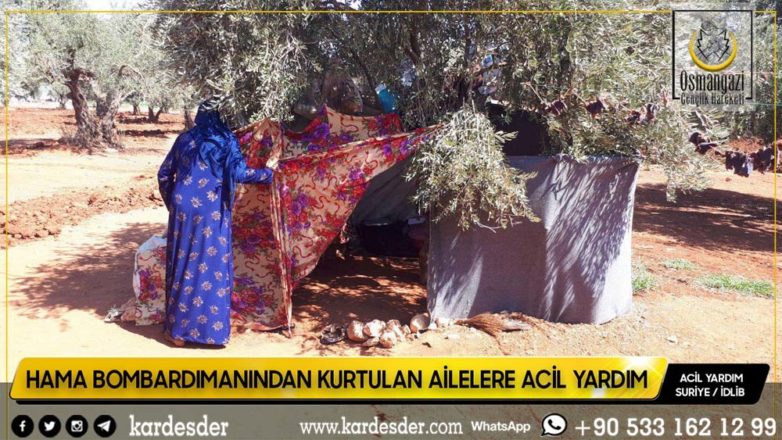 Zeytinliklerde yaşamak zorunda kalan halk yardımınıza muhtaç 23