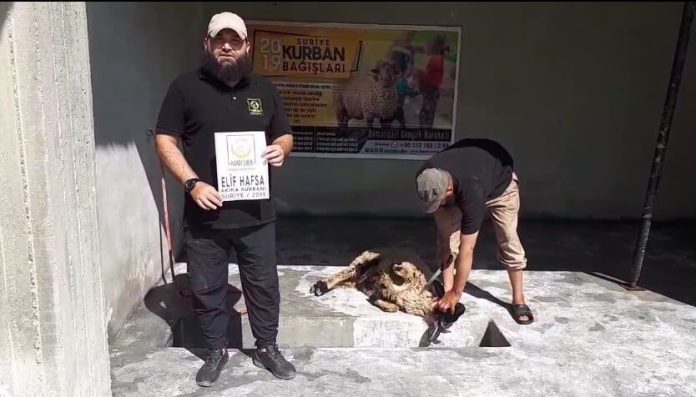 AKİKA KURBANLARINIZI YETİMLER İÇİN KESİYORUZ 01 AKİKA KURBANLARINIZI YETİMLER İÇİN KESİYORUZ 01