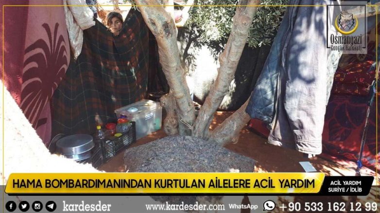 Zeytinliklerde yaşamak zorunda kalan halk yardımınıza muhtaç 10