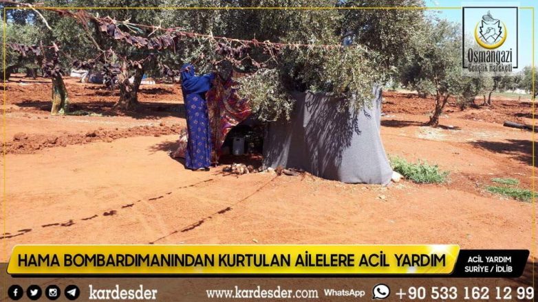 Zeytinliklerde yaşamak zorunda kalan halk yardımınıza muhtaç 21