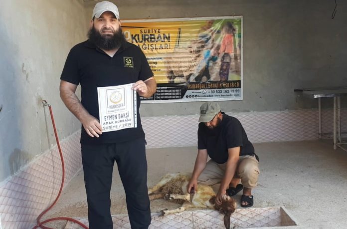 akİka kurbanlariniz savaŞ beldelerİnde kesİyoruz 01 akİka kurbanlariniz savaŞ beldelerİnde kesİyoruz 01