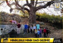 mİnİklerle mİnİk daĞ gezİntİmİz 03